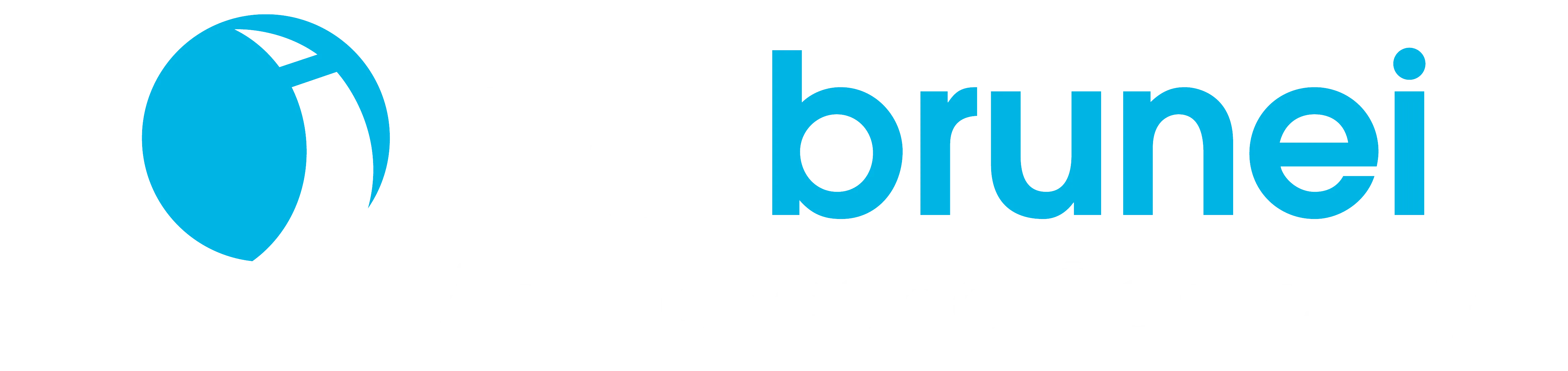 nbt-logo